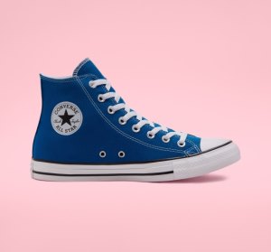 Dámské Plátěné Boty Converse Chuck Taylor All Star Seasonal Blankyt Bílé Bílé | 91NCDMSJL